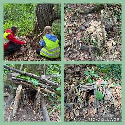 Forest School 2 - image 2 Forest School 2 - image 2