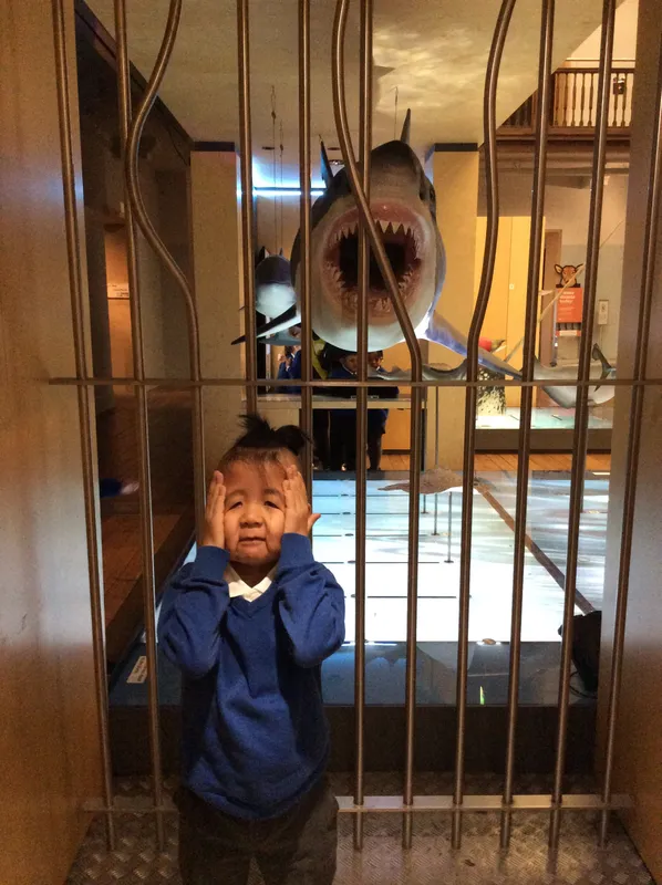 Gallery - created at 2024-02-09 11:53:37 - image 45