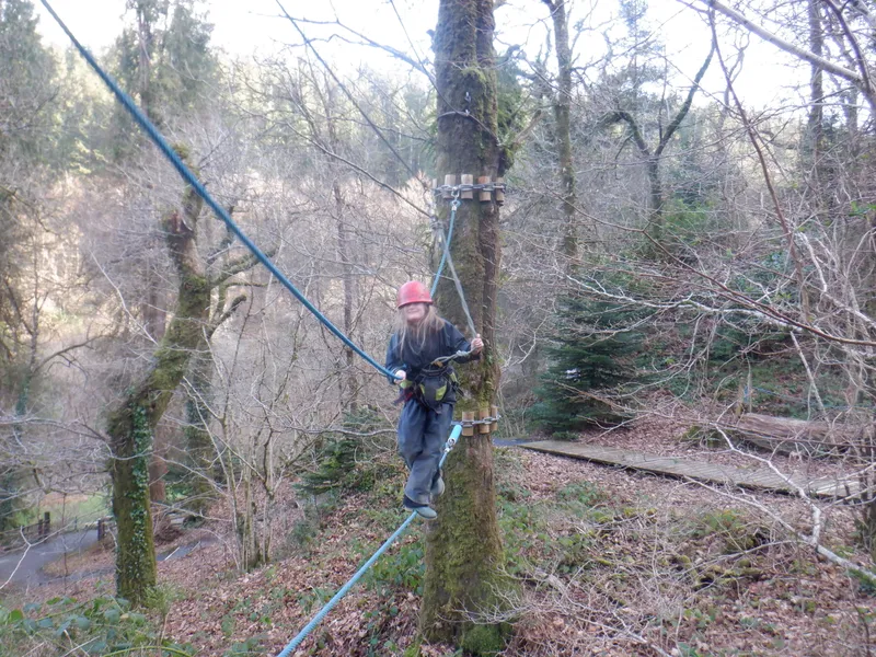 Gallery - created at 2025-02-27 19:57:56 - image 26