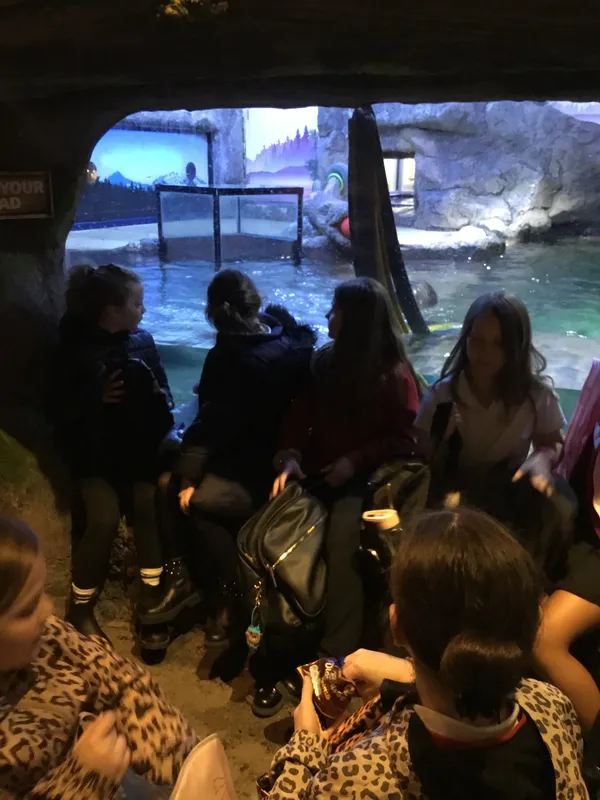Year 5 Sealife Centre  - image 16