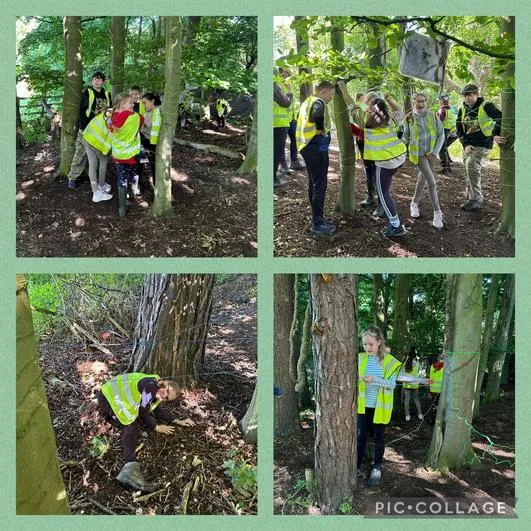 Summer 2024 - 8th July - Y6 Hackness and Wykeham Forest School Day - Spiders’ Webs; Whittling; Tea and S’mores; Blindfold Game; Shelter Building; Forest Games - image 3 Summer 2024 - 8th July - Y6 Hackness and Wykeham Forest School Day - Spiders’ Webs; Whittling; Tea and S’mores; Blindfold Game; Shelter Building; Forest Games - image 3