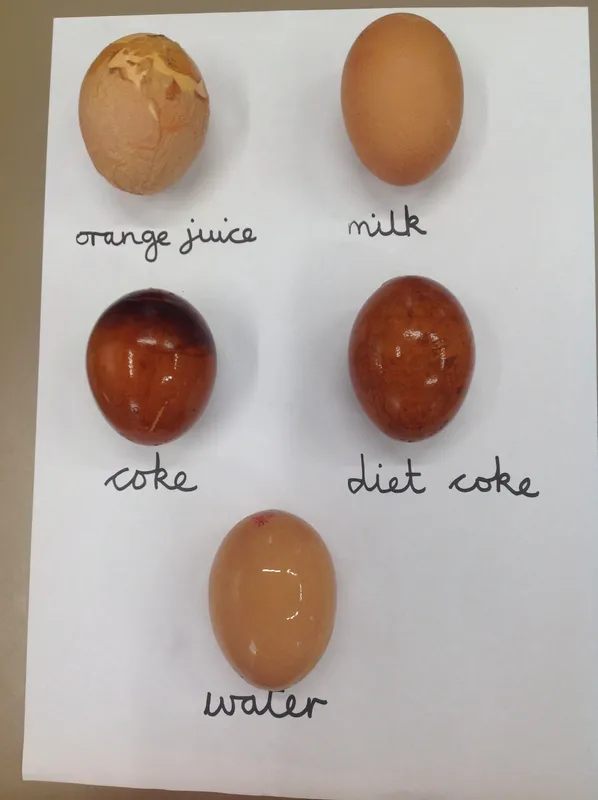 Gallery - created at 2023-12-01 08:14:32 - image 8 Gallery - created at 2023-12-01 08:14:32 - image 8