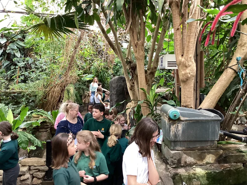 Gallery - created at 2025-03-14 10:11:21 - image 31 Gallery - created at 2025-03-14 10:11:21 - image 31