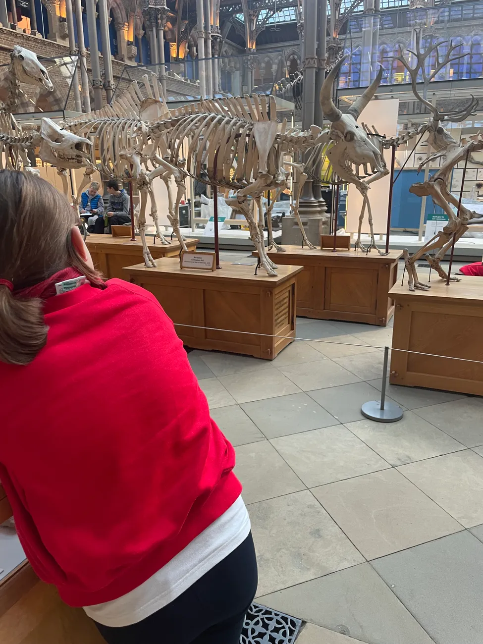 Gallery - created at 2024-02-24 14:03:51 - image 17