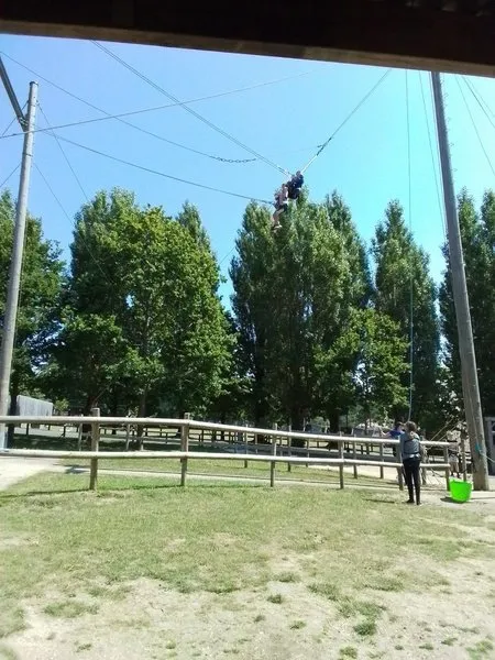 Group 4 - Giant Swing - image 8