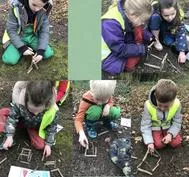 Forest School 75 - image 1 Forest School 75 - image 1