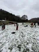 Forest School 51 - image 3 Forest School 51 - image 3