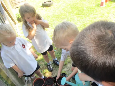 Planting - image 54