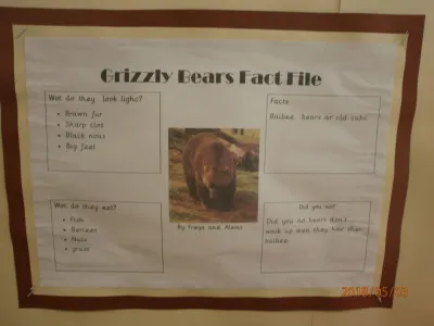 Gallery - created at 2021-03-03 09:06:40 - image 12