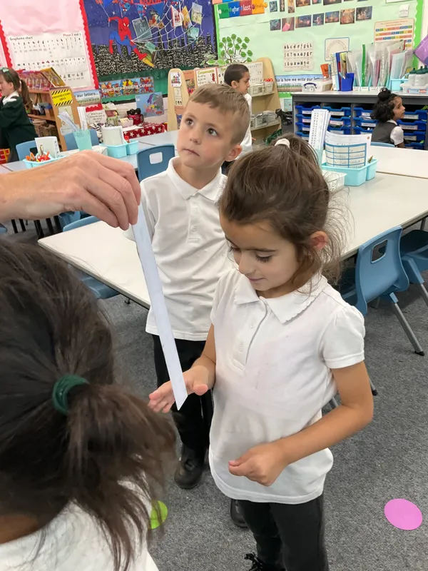 Beech Science Sense of Touch - image 33