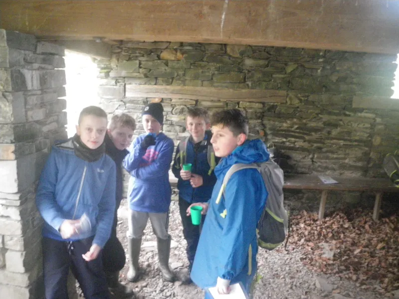 Gallery - image 9