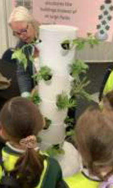 Y3 & Y4 Living Land