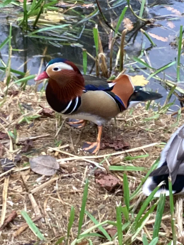 Gallery - created at 2024-11-08 10:10:59 - image 12 Gallery - created at 2024-11-08 10:10:59 - image 12