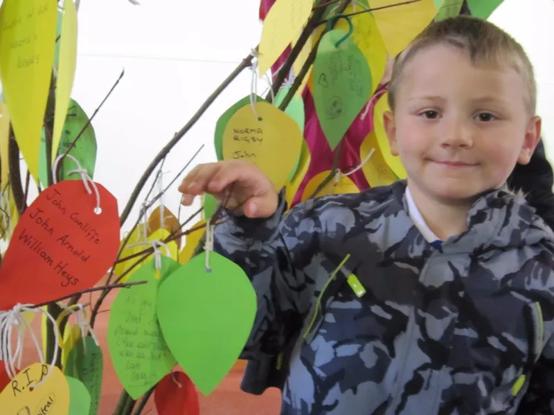 Gallery - created at 2017-09-11 16:29:13 - image 1