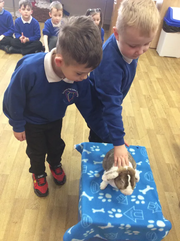 Gallery - created at 2024-03-05 13:52:56 - image 58 Gallery - created at 2024-03-05 13:52:56 - image 58