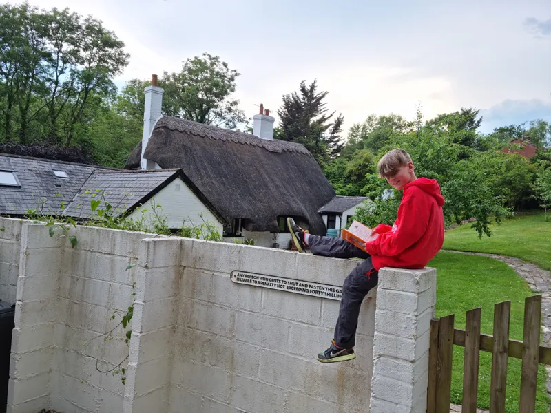 Gallery - created at 2023-06-23 12:55:50 - image 17