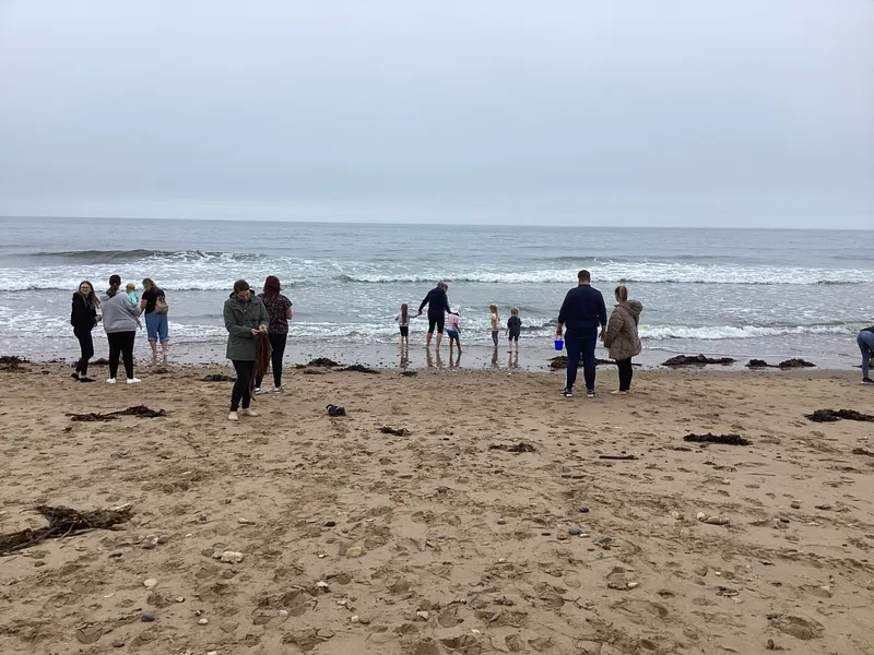 Gallery - created at 2024-07-16 16:31:53 - image 65