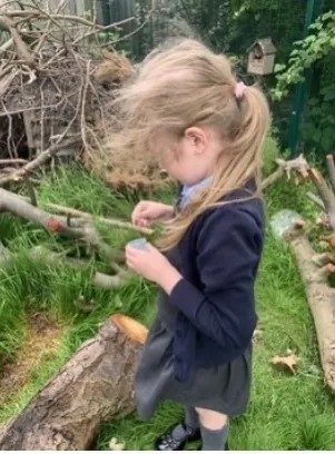 Gallery - created at 2022-12-15 12:37:11 - image 2