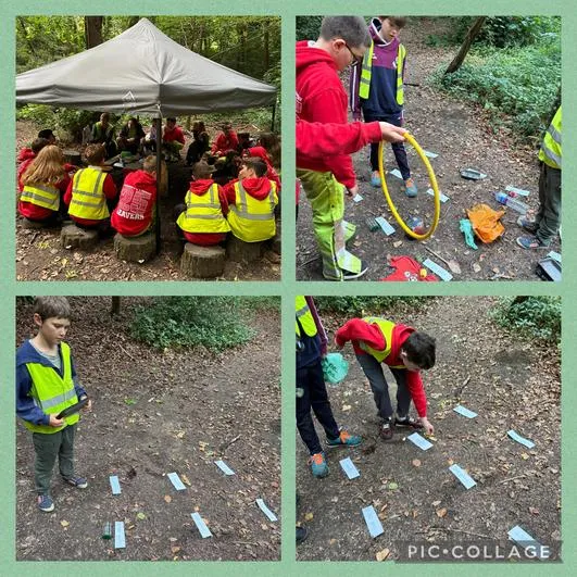 Forest Schools 1 - image 3 Forest Schools 1 - image 3