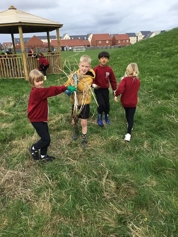 Gallery - created at 2024-09-23 11:53:17 - image 12