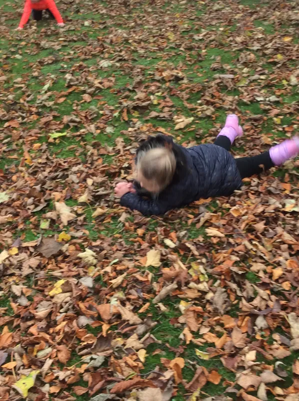 Gallery - created at 2024-11-05 15:27:50 - image 30 Gallery - created at 2024-11-05 15:27:50 - image 30