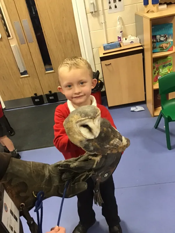 birds of prey year 1 25 - image 16 birds of prey year 1 25 - image 16