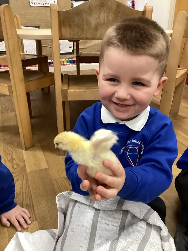 Gallery - created at 2024-07-04 16:12:30 - image 1