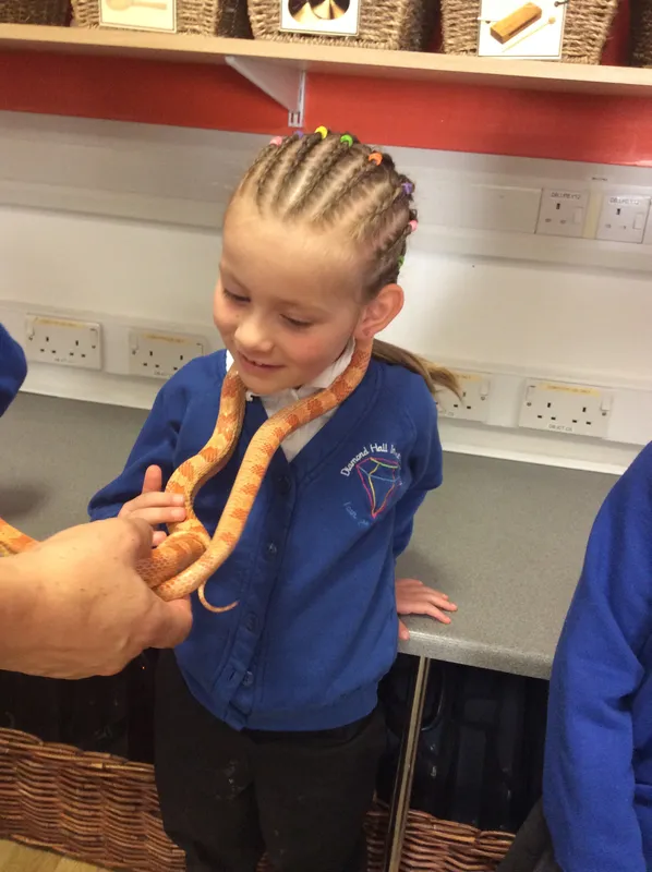 Gallery - created at 2024-03-05 13:52:56 - image 13 Gallery - created at 2024-03-05 13:52:56 - image 13