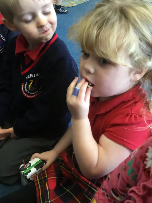 Gallery - created at 2021-11-26 15:51:53 - image 2 Gallery - created at 2021-11-26 15:51:53 - image 2