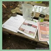 Forest School 4 - image 2 Forest School 4 - image 2