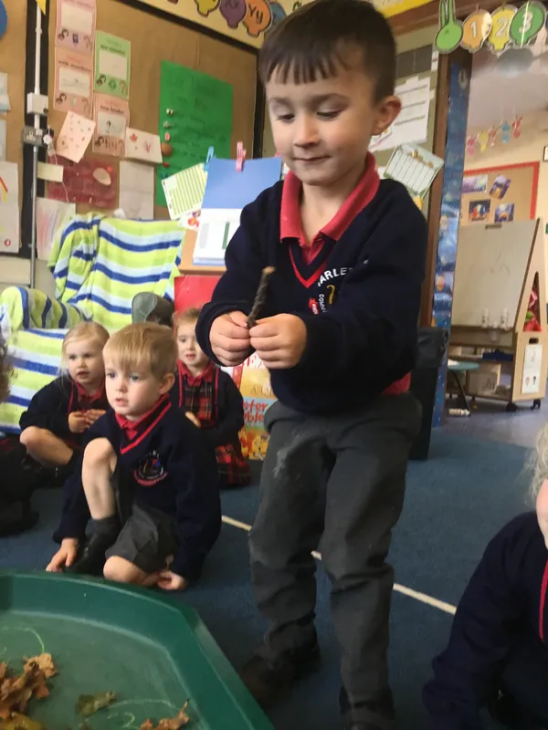 Gallery - created at 2021-10-12 16:15:43 - image 19 Gallery - created at 2021-10-12 16:15:43 - image 19