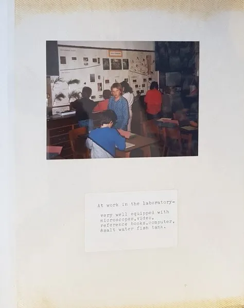 Gallery6 - history - image 1