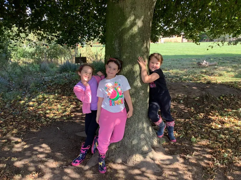 Swallows enjoying their first Forest School session - image 10 Swallows enjoying their first Forest School session - image 10