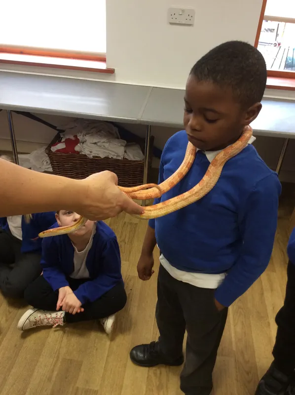 Gallery - created at 2024-02-26 17:15:57 - image 83 Gallery - created at 2024-02-26 17:15:57 - image 83