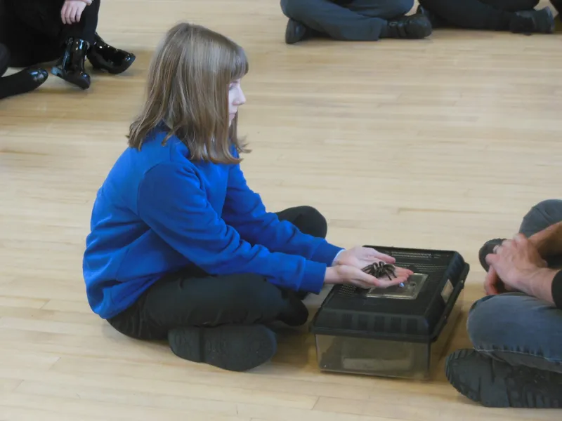 Y6 Reptile Rendezvous - image 13