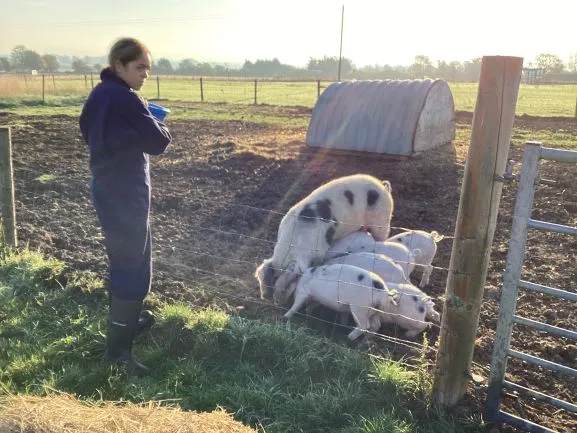 Farm Trip - Gallery 4 - image 9