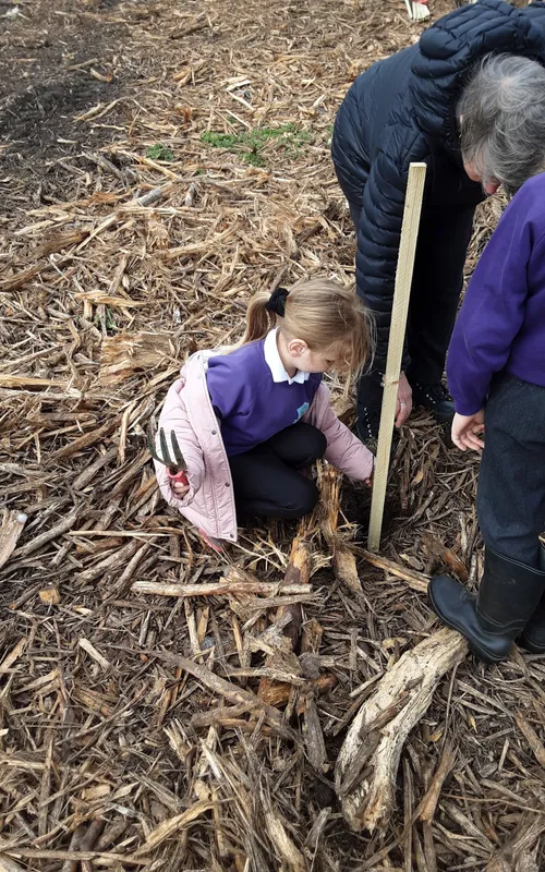 Gallery - created at 2025-04-30 13:12:16 - image 14 Gallery - created at 2025-04-30 13:12:16 - image 14