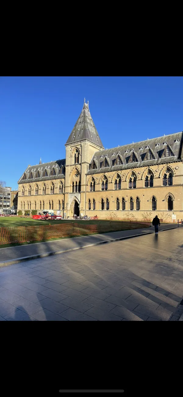 Gallery - created at 2024-02-24 11:33:42 - image 5