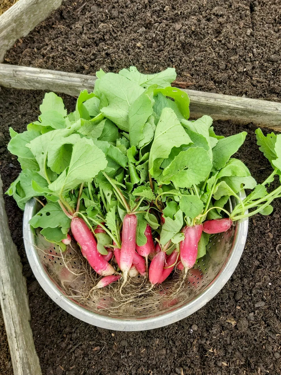 Gallery - created at 2023-09-07 16:46:06 - image 29 Gallery - created at 2023-09-07 16:46:06 - image 29