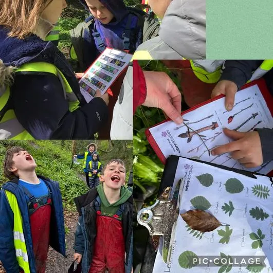 Forest School 41 - image 4 Forest School 41 - image 4