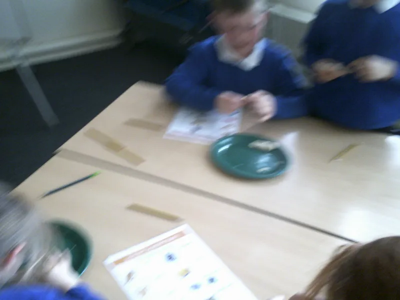 Y4 Roman Archaeology Workshop - image 39