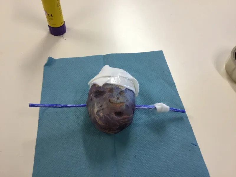 Gallery - created at 2021-03-07 18:41:10 - image 2 Gallery - created at 2021-03-07 18:41:10 - image 2