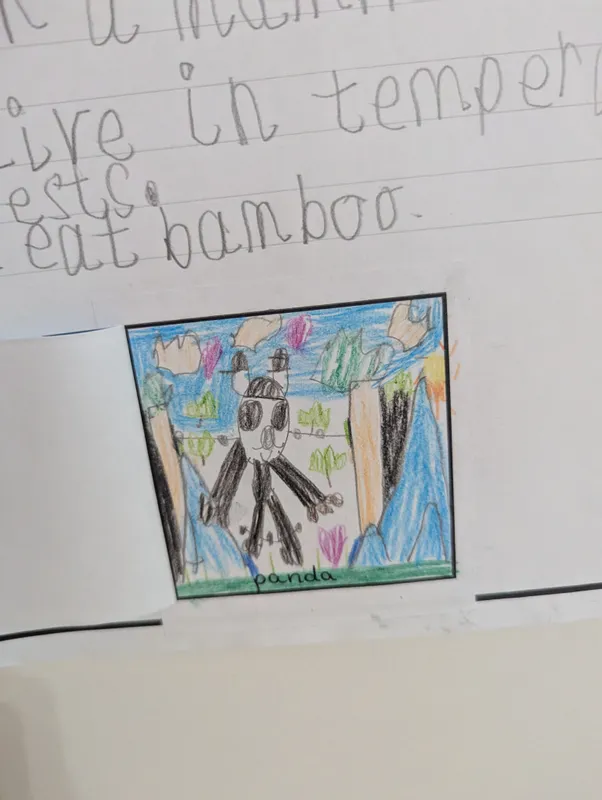 What animal am I? - image 11