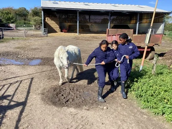 Farm 2025 - Gallery 3 - image 30