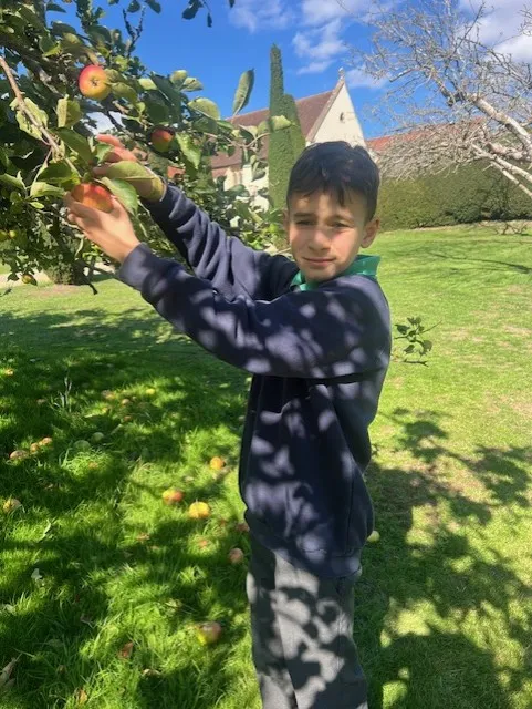 Apple Picking 2025 in Hendred House Garden - image 4