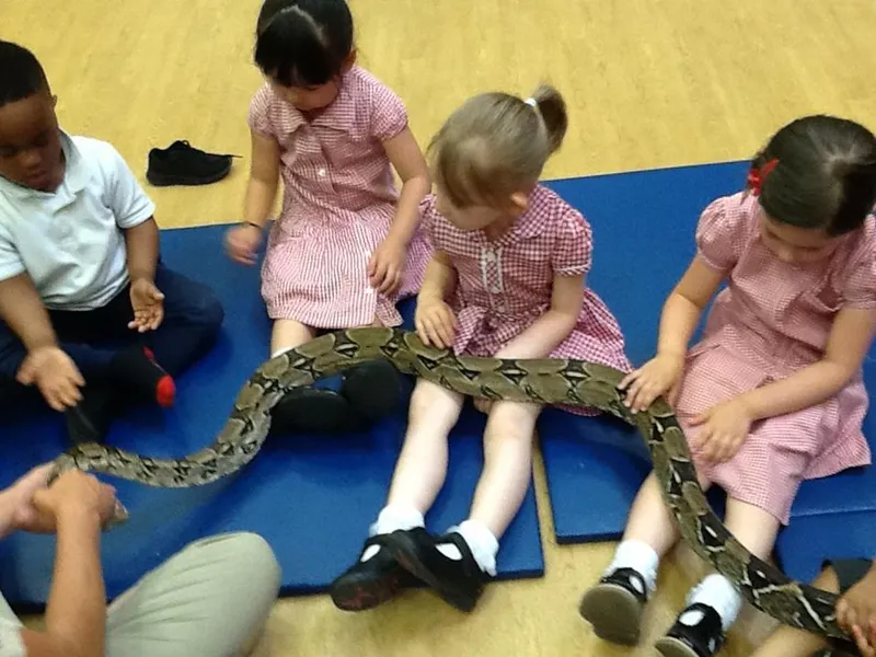 Nursery's visit from the Tropical Zoo - image 2