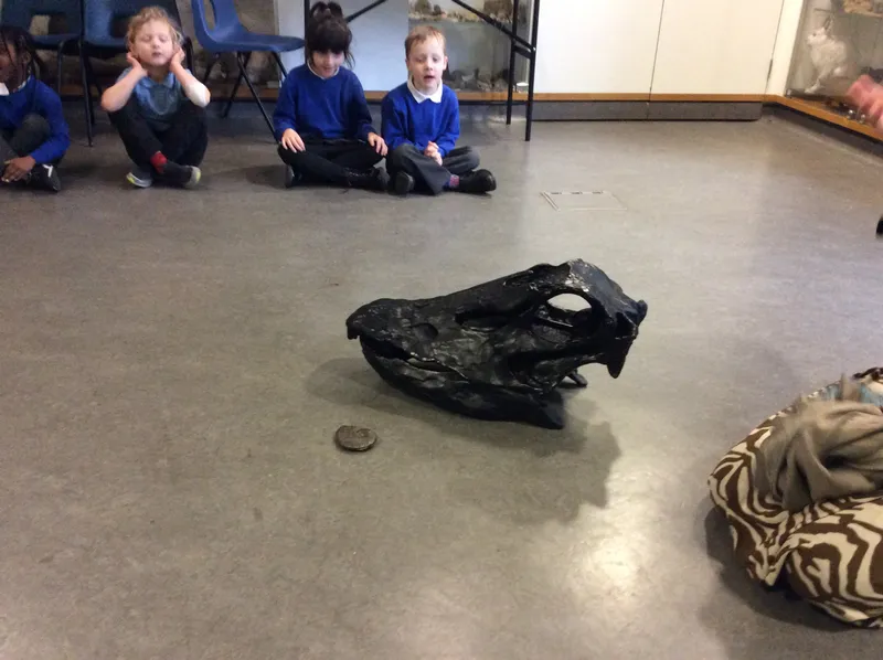 Gallery - created at 2024-02-15 10:35:32 - image 11 Gallery - created at 2024-02-15 10:35:32 - image 11