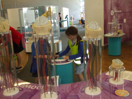 DSCF4973.JPG