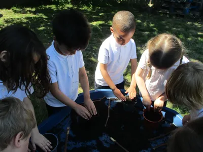 Planting - image 36