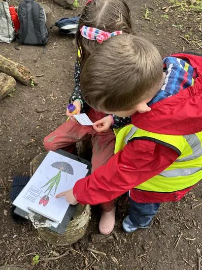 Summer 2024 - 17th April - Saplings - Flowering Plants and Tree Identification - image 3 Summer 2024 - 17th April - Saplings - Flowering Plants and Tree Identification - image 3